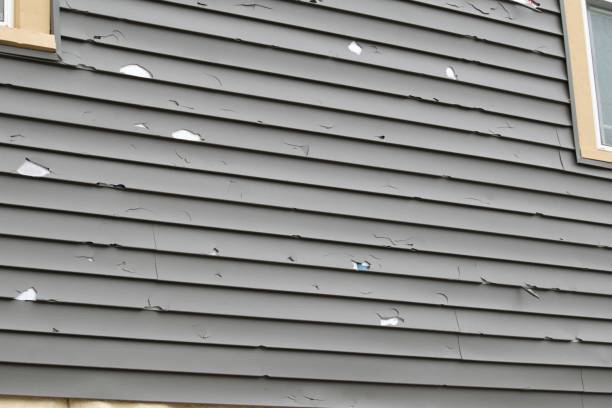 Best Fiber Cement Siding Installation  in Pleasant View, UT